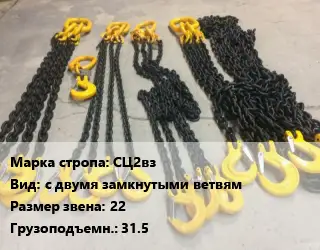 Строп цепной СЦ2вз с двумя замкнутыми ветвям Звено:22 Грузопод.31.5